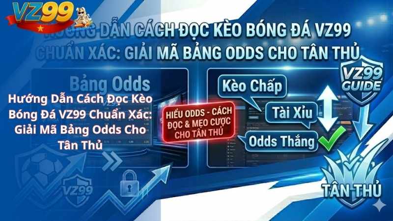 Hướng Dẫn Cách Đọc Kèo Bóng Đá VZ99 Chuẩn Xác: Giải Mã Bảng Odds Cho Tân Thủ